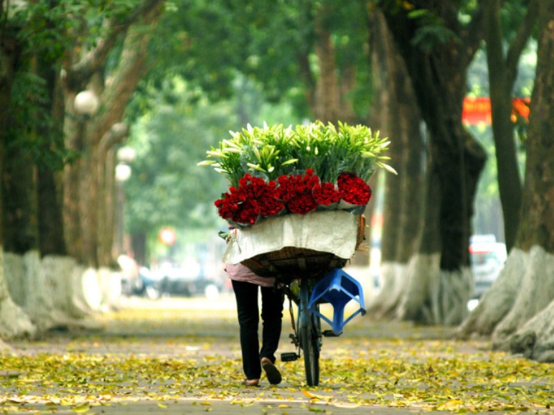 hà nội mùa thu