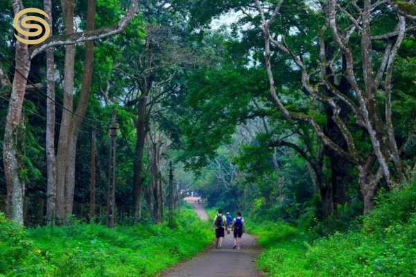 Ba Vi National Park